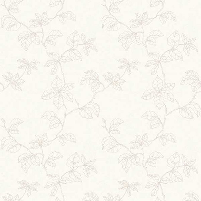 Shadow of Branches 490206