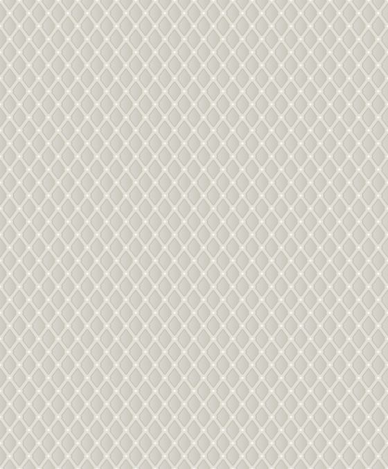 Shiny Diamond 650626